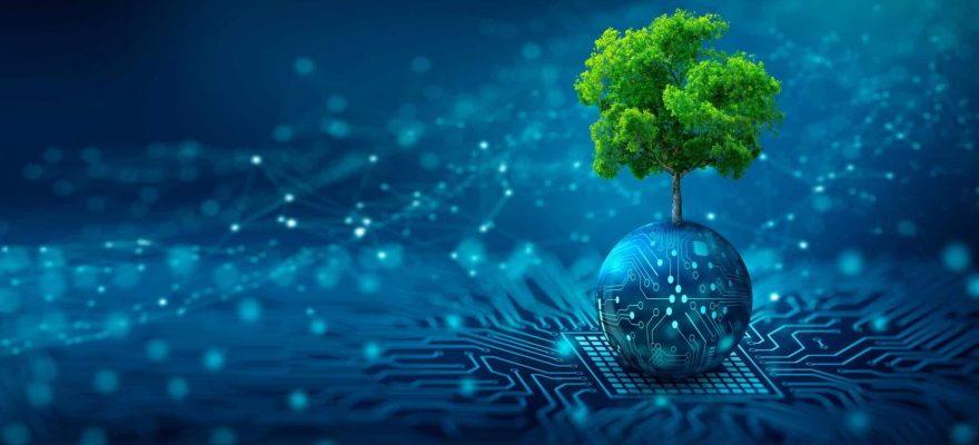 Green computing visualized by a green tree on a circuit